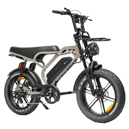 V20 Limited - Bruin